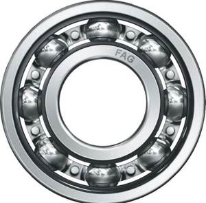 FAG 16006 Bearing