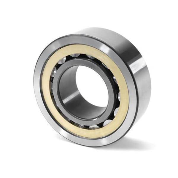 FAG NF309 Cylindrical Roller Bearing